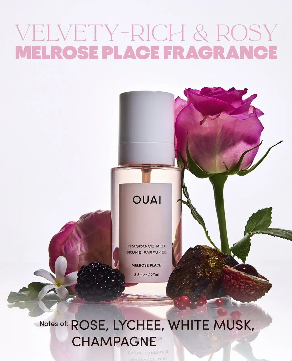 OUAI-CATION Air Fresheners - 4 Pack