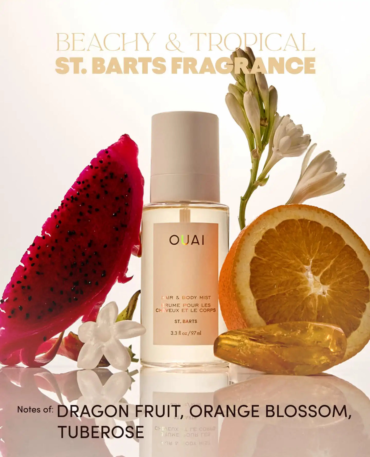 OUAI-CATION Air Fresheners - 4 Pack