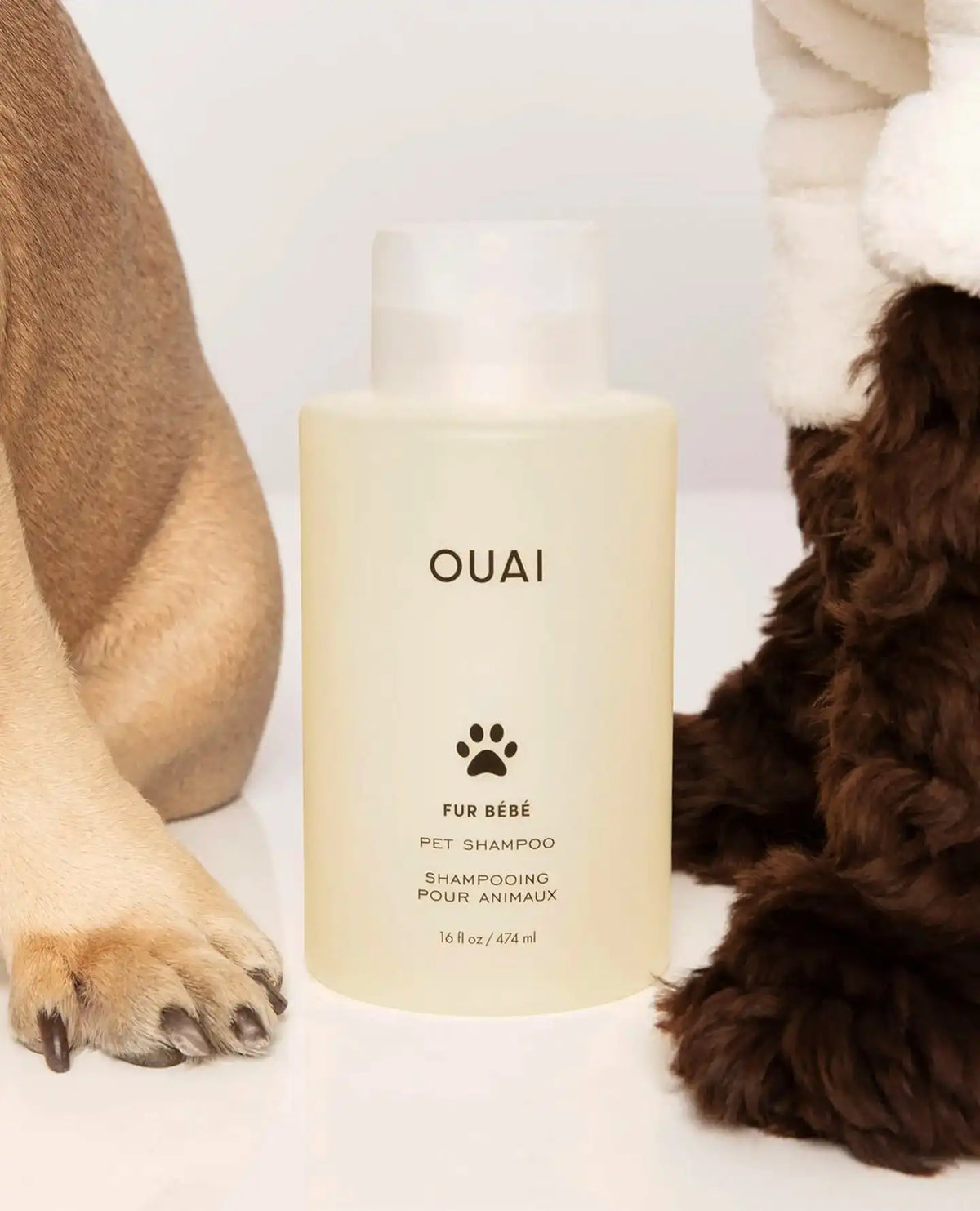Fur Bébé