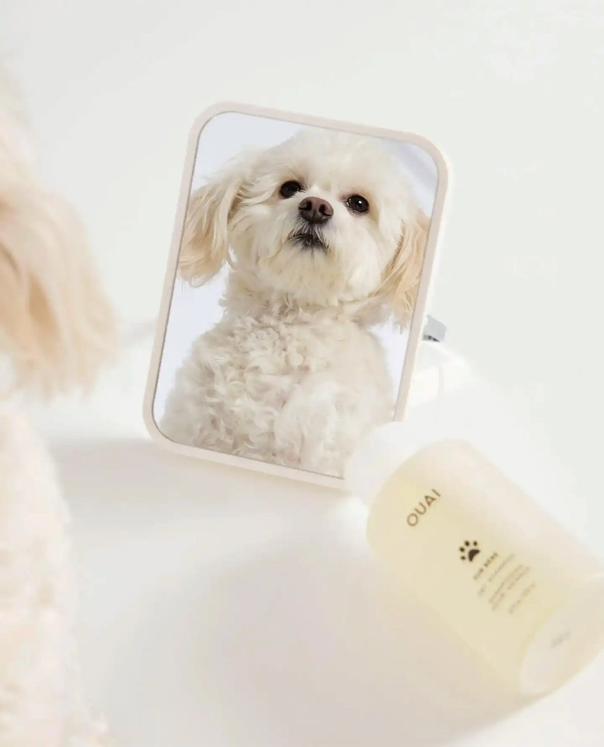 Fur Bébé