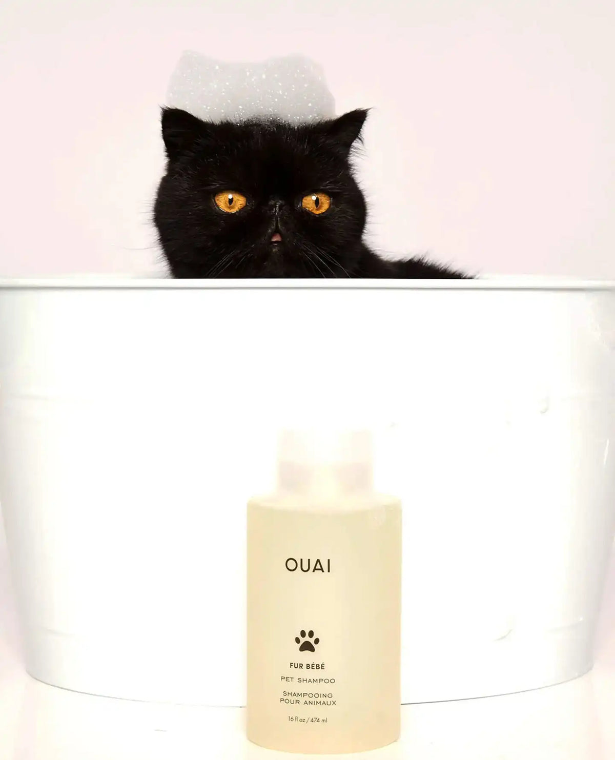 Fur Bébé